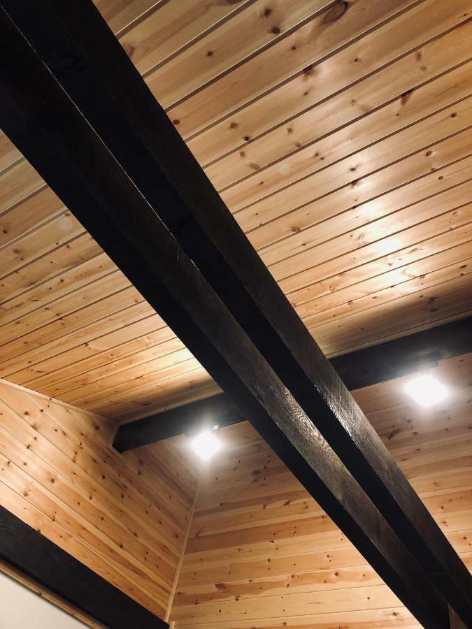Ryder'S House With Free Use Of 4W Car Villa Hakuba Ngoại thất bức ảnh